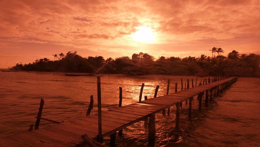 Marine Conservation in Raja Ampat The Great Projects