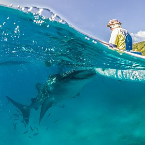 Mozambican Marine Conservation Project